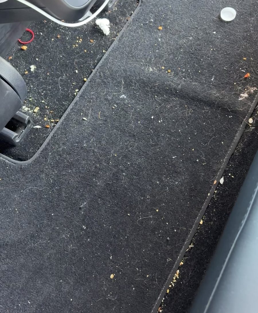 Rear floor carpet before, covered in pet hair, crumbs, debris and a bottle cap