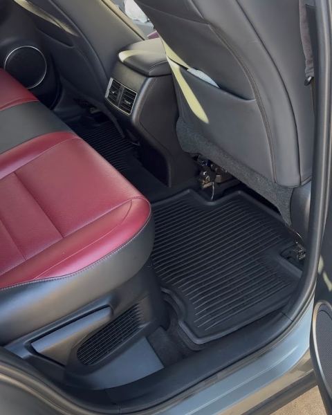Lexus rear seats, interior detail by Heavenly Details